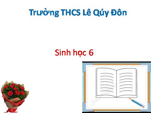 Bài 50. Vi khuẩn