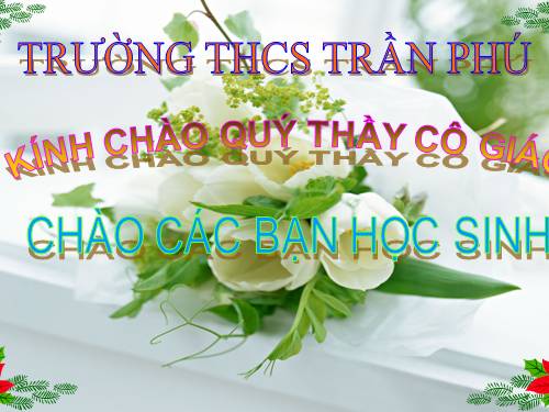 Bài 50. Vi khuẩn