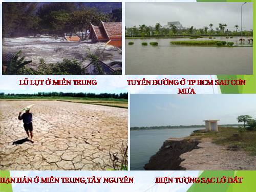 Bài 47. Thực vật bảo vệ đất và nguồn nước
