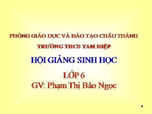 Bài 50. Vi khuẩn