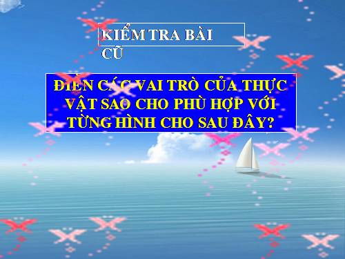 Bài 49. Bảo vệ sự đa dạng của thực vật