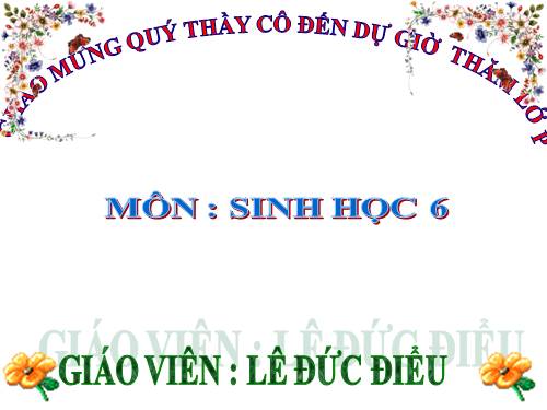 Bài 36. Tổng kết về cây có hoa