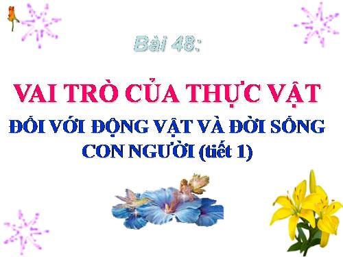 Bài 48. Vai trò của thực vật đối với động vật và đối với đời sống con người