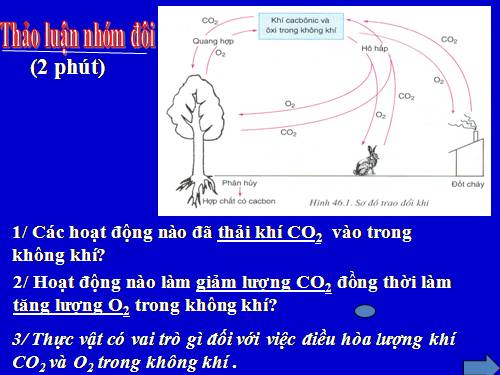 Bài 46. Thực vật góp phần điều hoà khí hậu