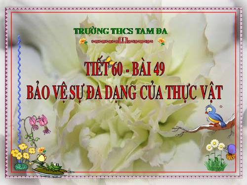 Bài 49. Bảo vệ sự đa dạng của thực vật