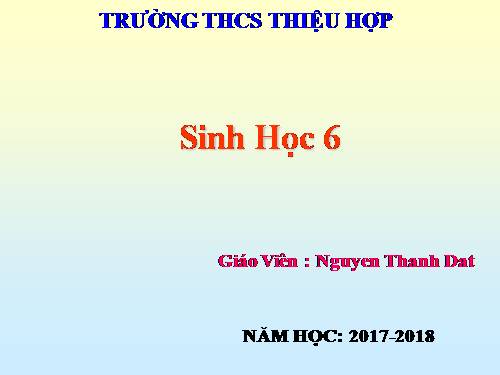 Bài 44. Sự phát triển của giới Thực vật