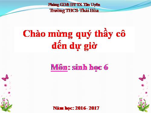 Bài 51. Nấm