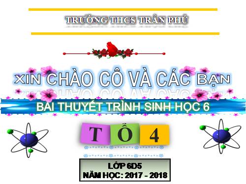 Bài 45. Nguồn gốc cây trồng