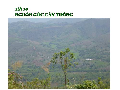 Bài 45. Nguồn gốc cây trồng