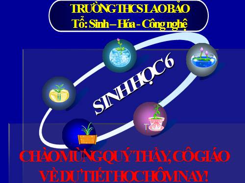Bài 43. Khái niệm sơ lược về phân loại thực vật