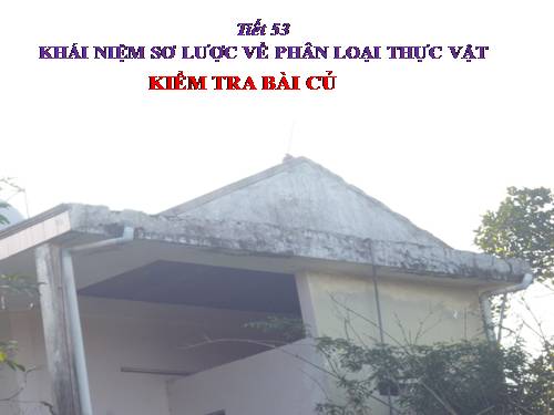 Bài 43. Khái niệm sơ lược về phân loại thực vật