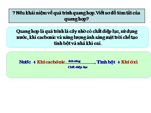 Bài 46. Thực vật góp phần điều hoà khí hậu