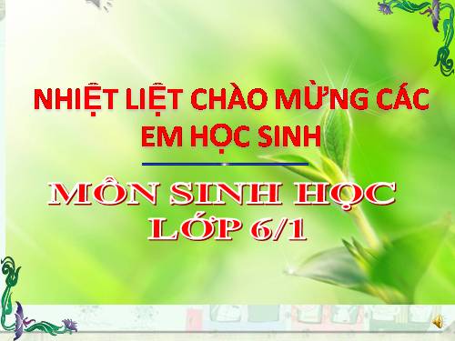 Bài 41. Hạt kín - Đặc điểm của thực vật Hạt kín