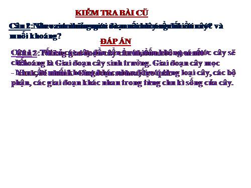 Bài 11. Sự hút nước và muối khoáng của rễ