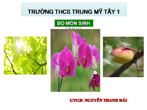 Bài 31. Thụ tinh, kết quả và tạo hạt