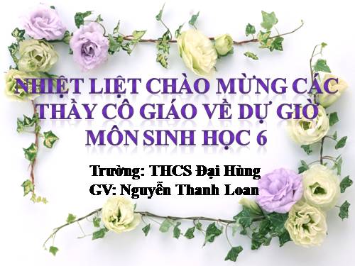 Bài 26. Sinh sản sinh dưỡng tự nhiên