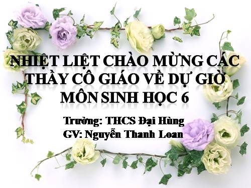 Bài 41. Hạt kín - Đặc điểm của thực vật Hạt kín