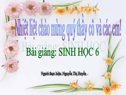 Bài 23. Cây có hô hấp không?