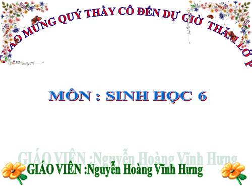 Bài 36. Tổng kết về cây có hoa