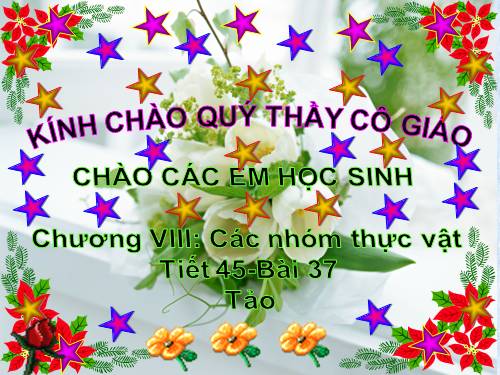 Bài 37. Tảo