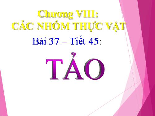 Bài 37. Tảo