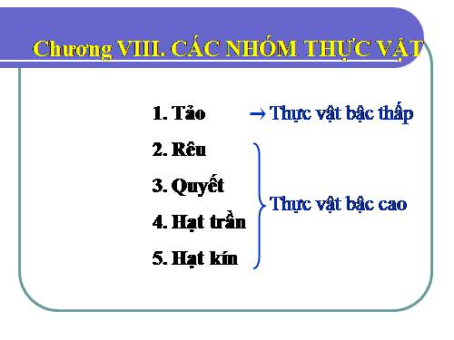 Bài 37. Tảo