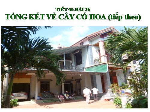 Bài 36. Tổng kết về cây có hoa