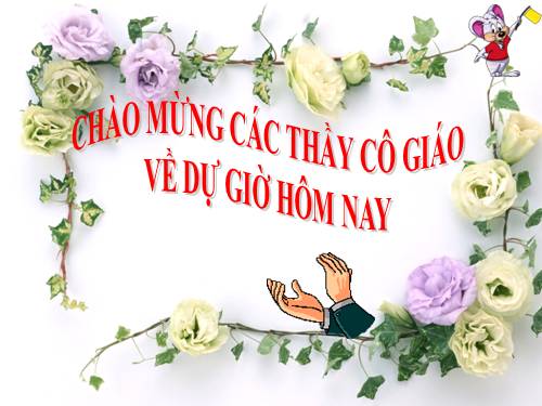 Bài 36. Tổng kết về cây có hoa