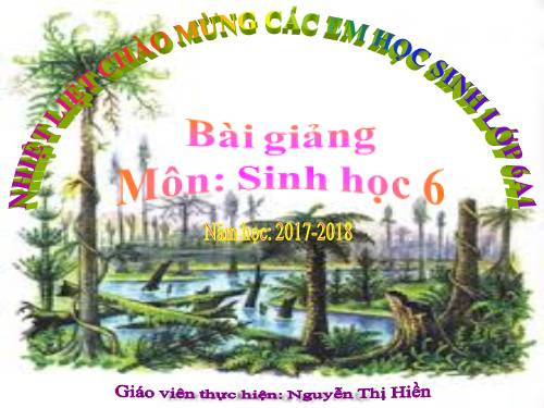 Bài 39. Quyết - Cây dương xỉ