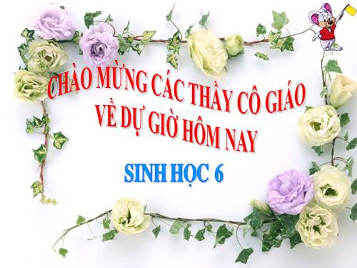 Bài 36. Tổng kết về cây có hoa