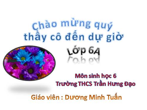 Bài 33. Hạt và các bộ phận của hạt