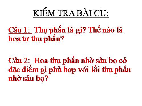 Bài 30. Thụ phấn