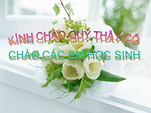 Bài 32. Các loại quả