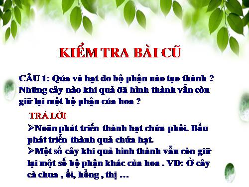 Bài 32. Các loại quả