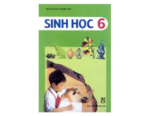 Bài 33. Hạt và các bộ phận của hạt