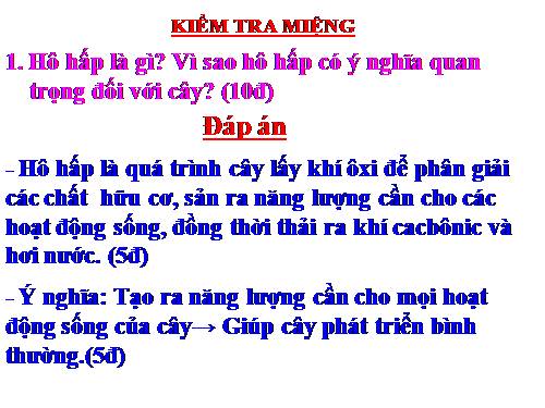 Bài 24. Phần lớn nước vào cây đi đâu?