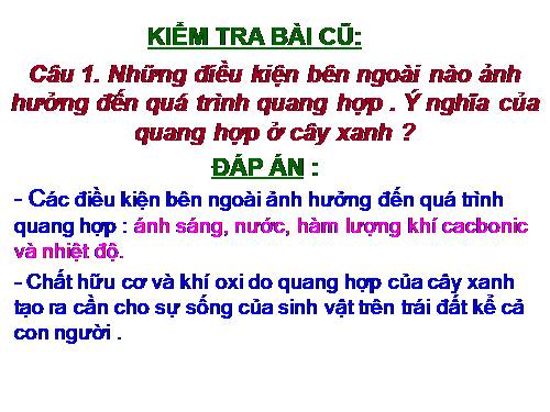 Bài 23. Cây có hô hấp không?