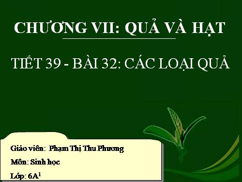 Bài 32. Các loại quả