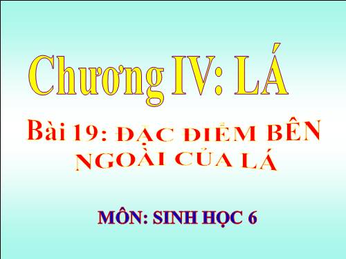 Bài 19. Đặc điểm bên ngoài của lá