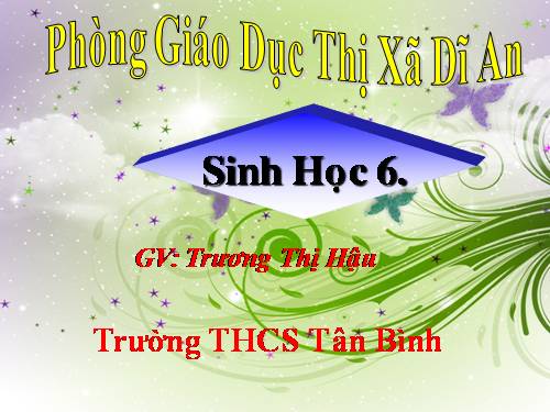 Bài 21. Quang hợp