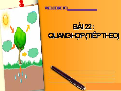 Bài 21. Quang hợp