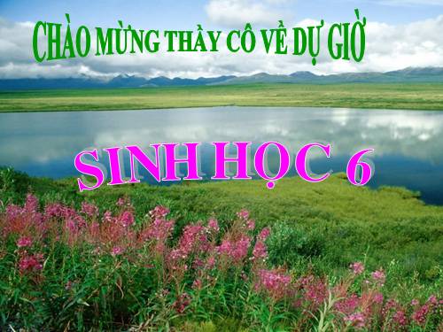 Bài 2. Nhiệm vụ của Sinh học. Đại cương về giới Thực vật