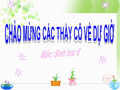 Bài 25. Biến dạng của lá