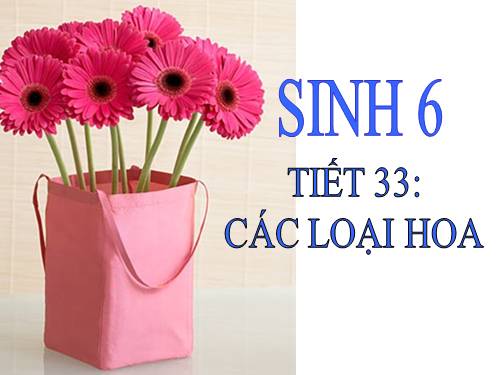 Bài 29. Các loại hoa