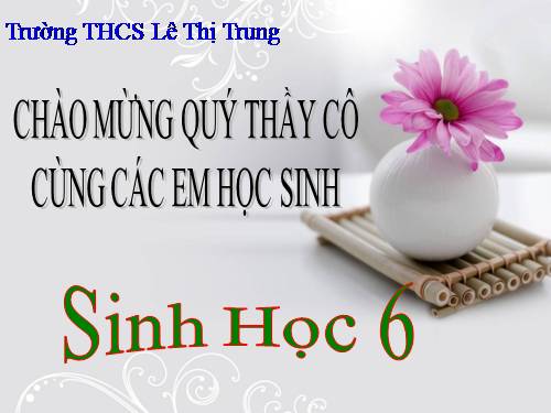 Bài 19. Đặc điểm bên ngoài của lá