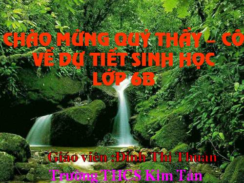 Bài 27. Sinh sản sinh dưỡng do người