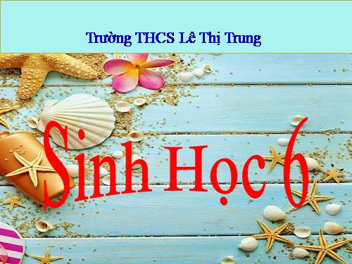 Bài 8. Sự lớn lên và phân chia của tế bào