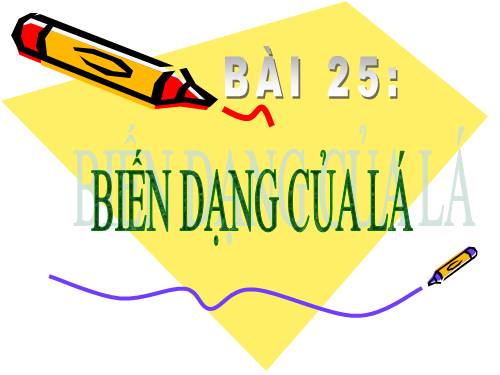 Bài 25. Biến dạng của lá