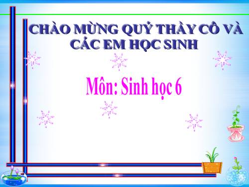 Bài 23. Cây có hô hấp không?