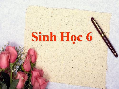 Bài 19. Đặc điểm bên ngoài của lá